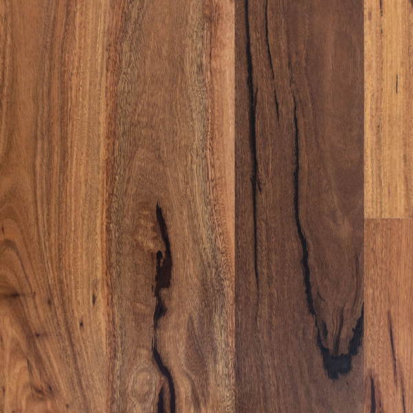 Spotted Gum (Natural) Swatch